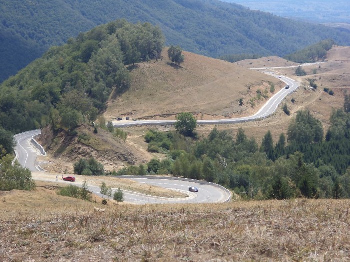 DSC02533 - Transalpina