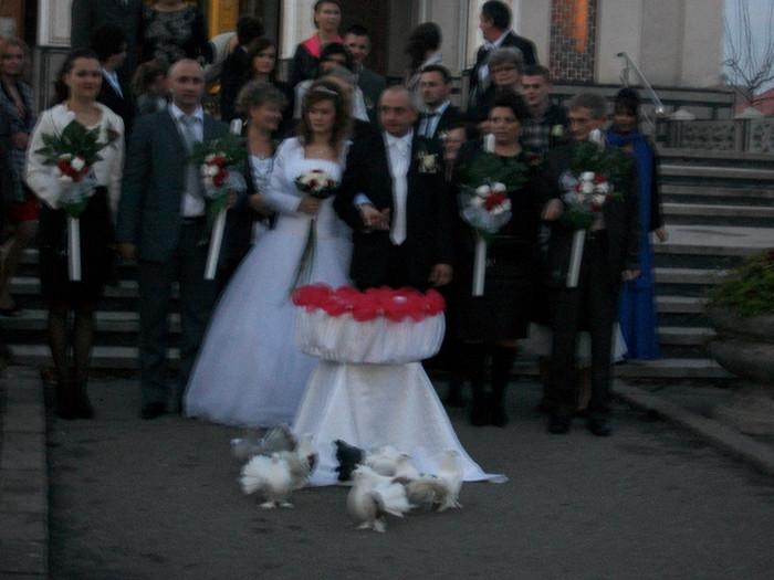 ALIM0170 - Nunta varului meu 4 noiembrie 2012