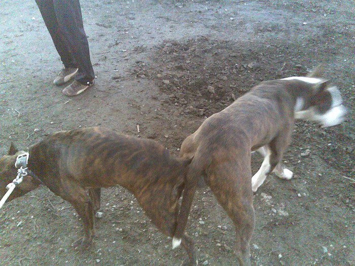 de la d-soara la doamna