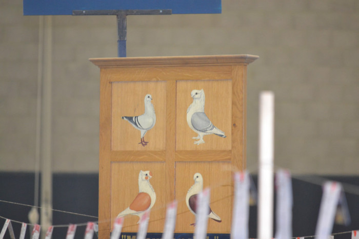 DSC_0107 - Expo Olanda Loon op Zand Noiembrie 2012