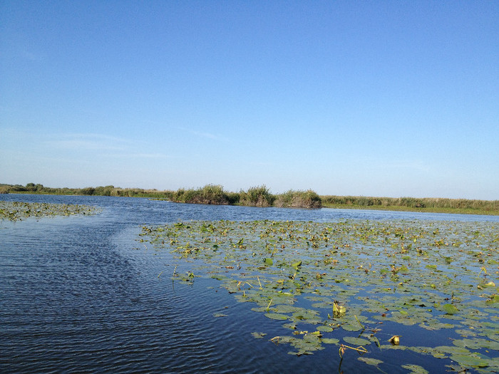 nicu 414 - EXCURSIE IN DELTA DUNERII