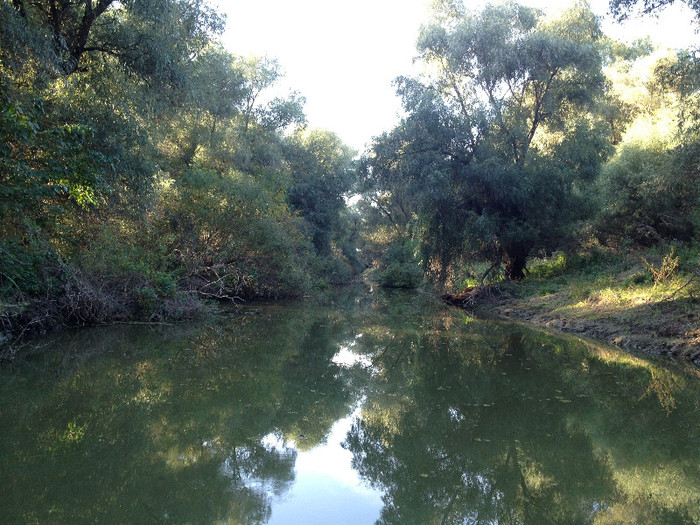 nicu 442 - EXCURSIE IN DELTA DUNERII