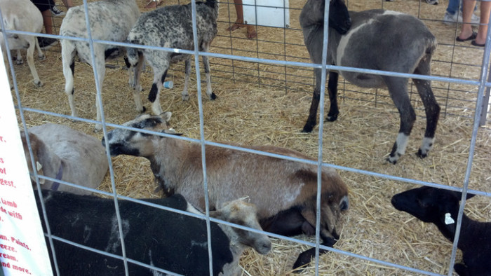 2012-07-21_14-34-06_657