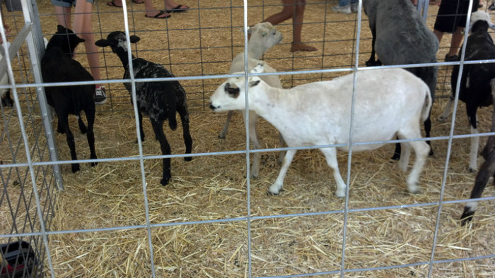 2012-07-21_14-34-41_673