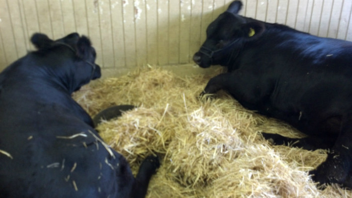 2012-07-21_14-37-08_77