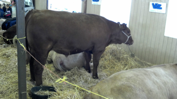 2012-07-21_14-37-16_471