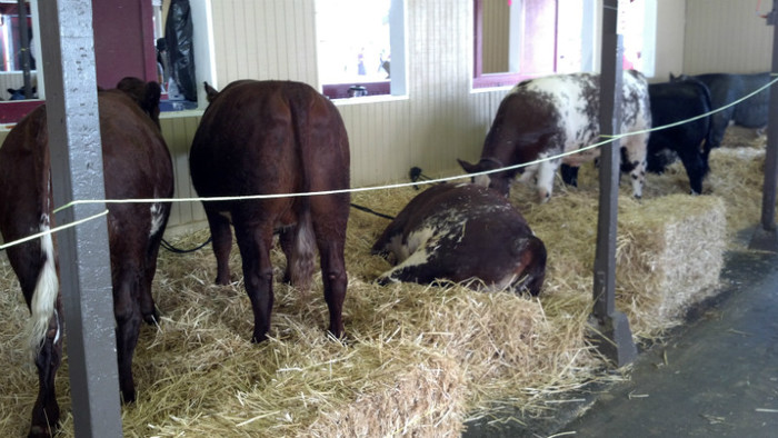 2012-07-21_14-40-02_297