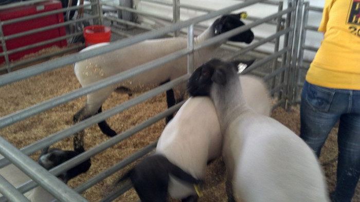 2012-07-21_14-41-47_829