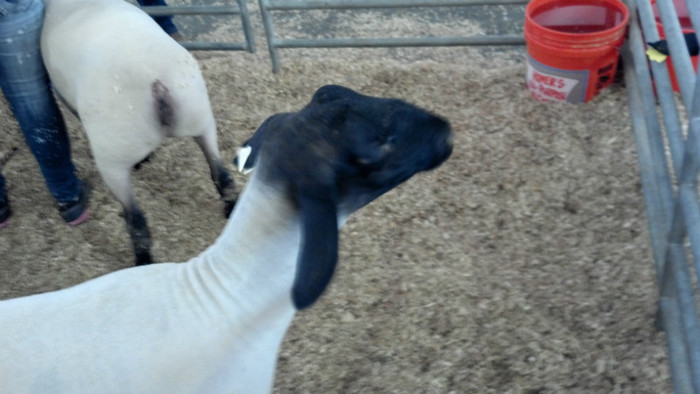 2012-07-21_14-41-56_775