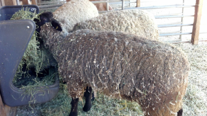 2012-07-21_15-50-11_370