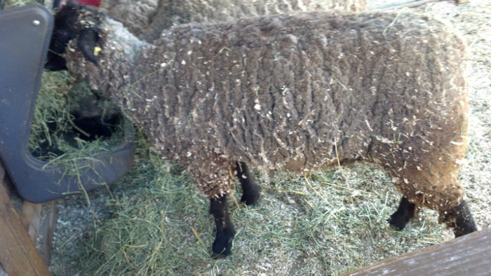 2012-07-21_15-50-46_814