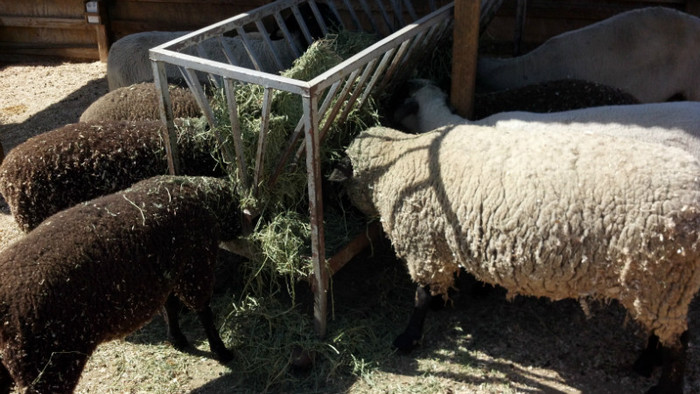 2012-07-21_15-53-12_90