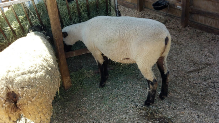 2012-07-21_15-53-34_971