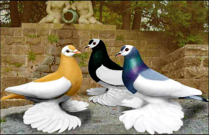 530903_10151251164619311_588336611_n