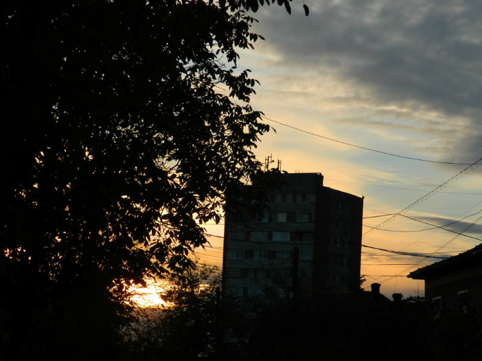 DSCN1346