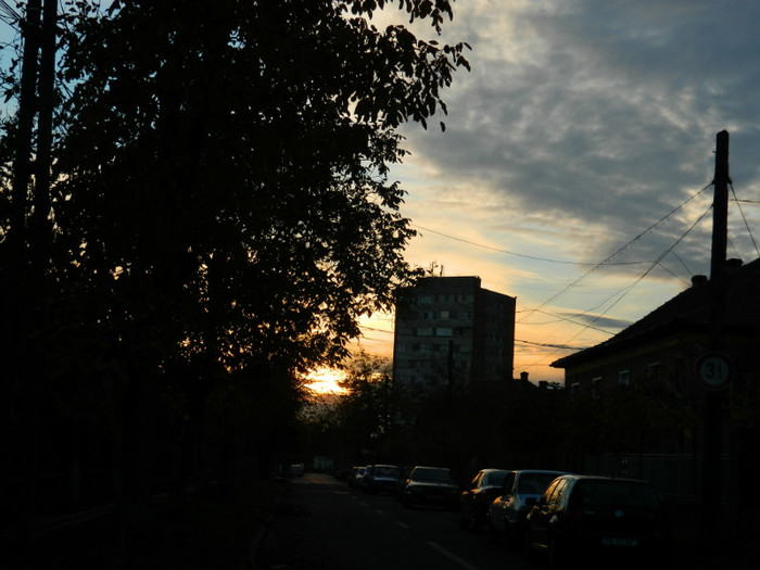 DSCN1347