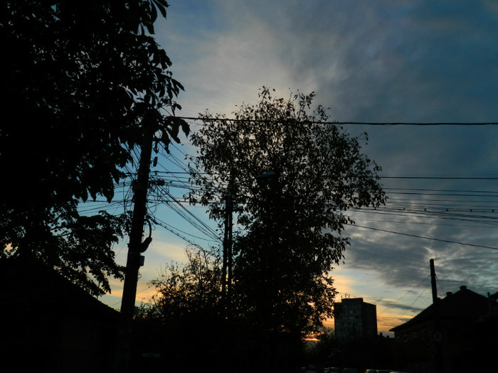 DSCN1353