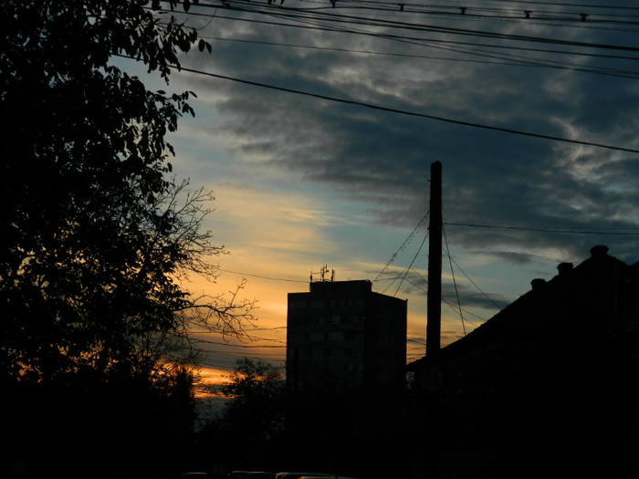 DSCN1356