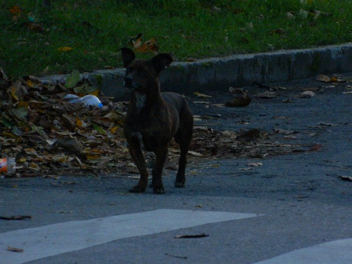 DSCN1357