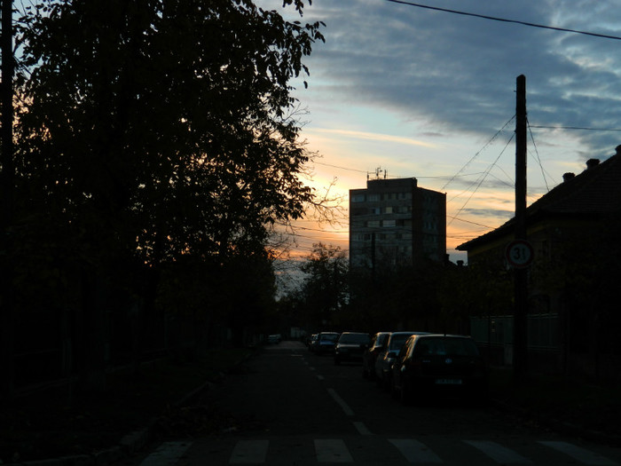 DSCN1367