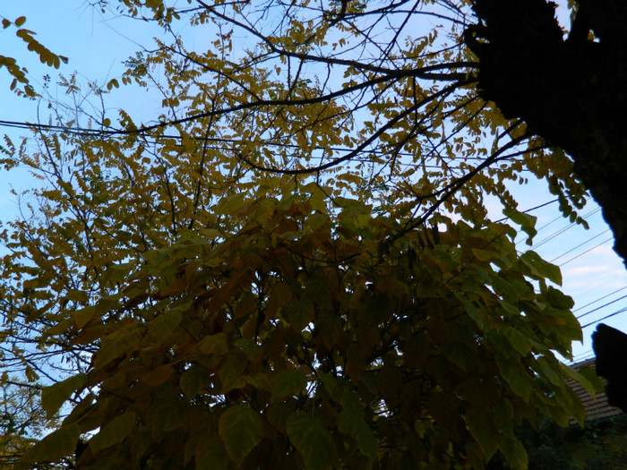 DSCN1369