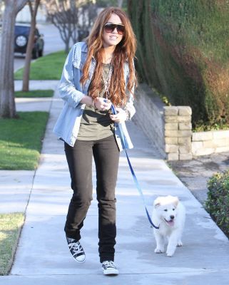 normal_5 - Walking Their Dogs around the Neighbourhood in Toluca Lake 2010