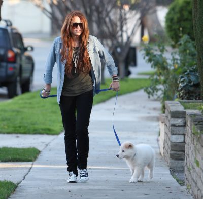 normal_33 - Walking Their Dogs around the Neighbourhood in Toluca Lake 2010