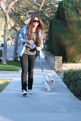 normal_35 - Walking Their Dogs around the Neighbourhood in Toluca Lake 2010