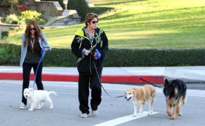 normal_62 - Walking Their Dogs around the Neighbourhood in Toluca Lake 2010