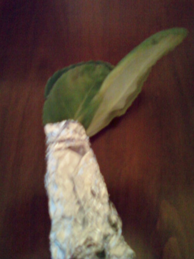 8 nov 2012-flori 030