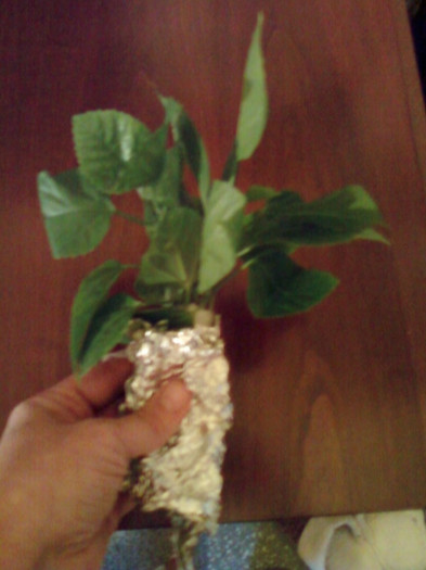 multumesc simona ! - primite