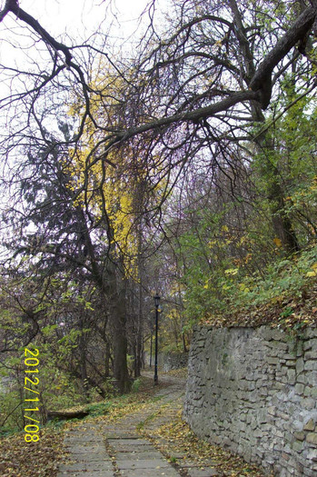101_1635 - toamna tarzie  in 2012