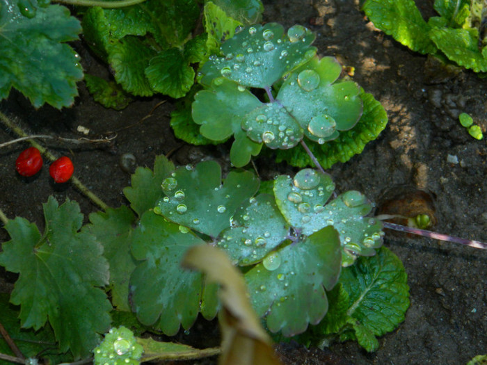 DSCN1414
