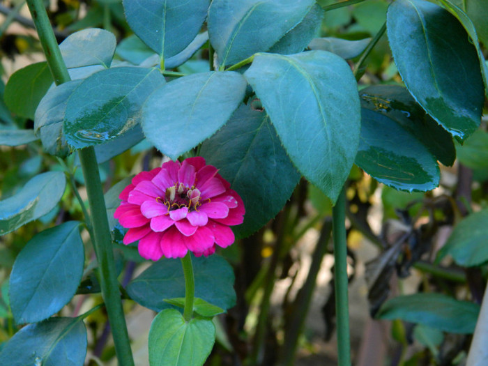 DSCN1428