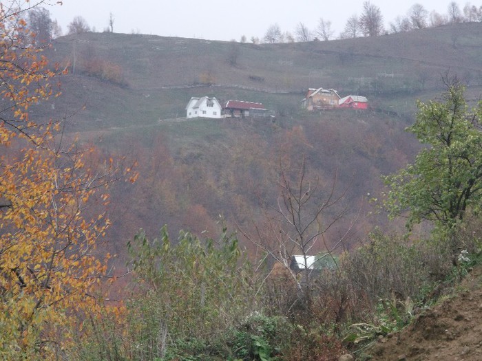 NATURA SI MODERNISM - FERMA LUI NALAT FLORIN