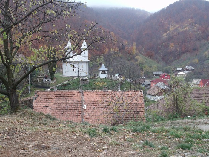 LOCASUL CARE VA FI SCHIMBAT - FERMA LUI NALAT FLORIN