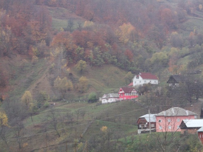 SI AICI LOCUIESC OAMENI - FERMA LUI NALAT FLORIN