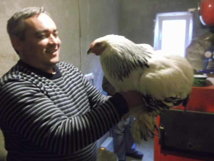 A IESIT SI LA ASTA - FERMA LUI NALAT FLORIN