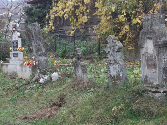MEMORIA GENERATIILOR - FERMA LUI NALAT FLORIN