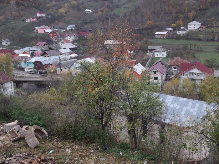 ....CARARI CE DUC LA MOARA....... - FERMA LUI NALAT FLORIN