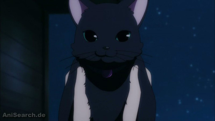 cecil din uta no prince sama - Animale din anime