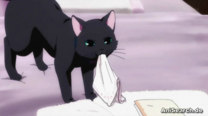 cecil 6 - Animale din anime