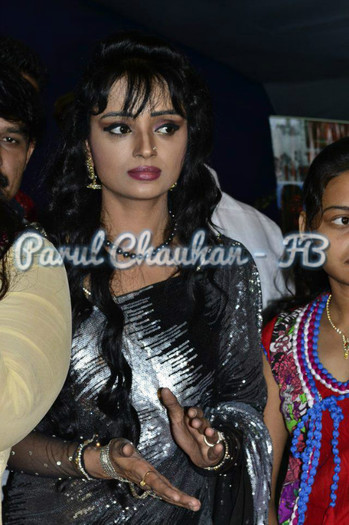 224466_393183567418235_1514300556_n - PARUL CHAUHAN NEW