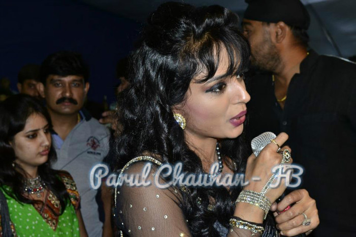 431758_393183414084917_729515109_n - PARUL CHAUHAN NEW