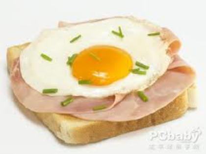 retete din oua de prepelita_10