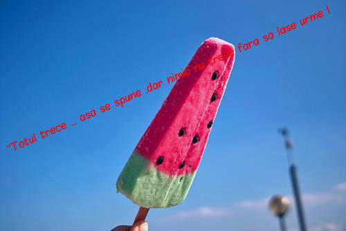 283432_180612958742924_667891796_n