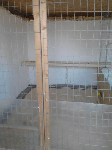 boxe; pt pui si cocosii de rezerva
