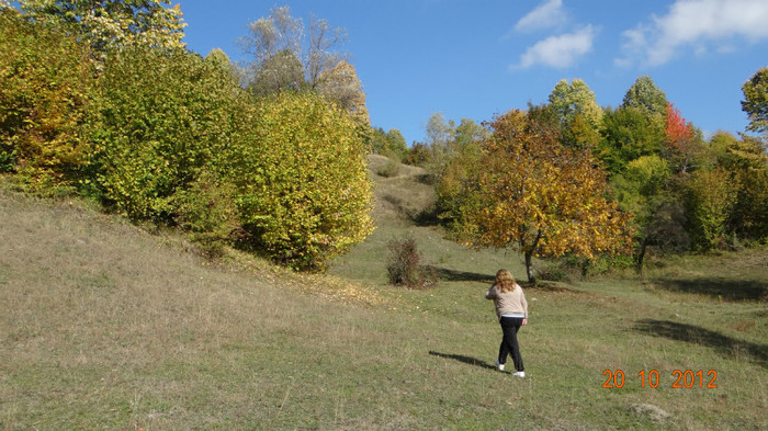 DSC01774 - cosminele toamna