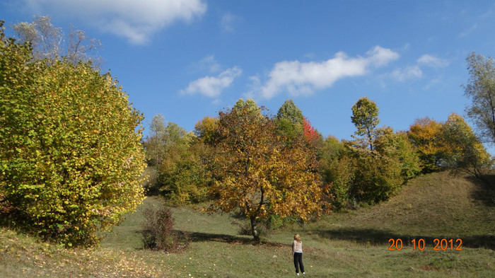 DSC01775 - cosminele toamna