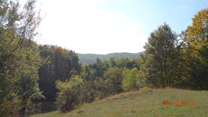 DSC01777 - cosminele toamna